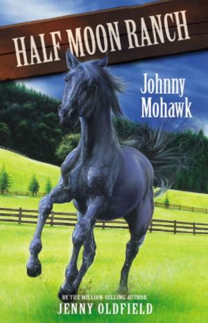 Cover of the book Johnny Mohawk by Alan Gibbons