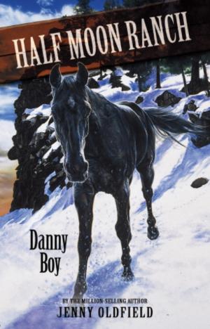 Cover of the book Danny Boy by Ann Kramer