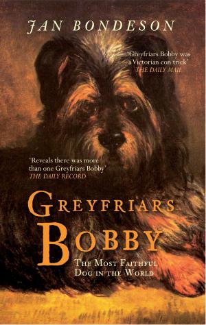Cover of the book Greyfriars Bobby by Robin Cook