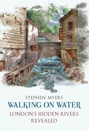 Cover of the book Walking on Water by Ian Nicolson, C. Eng. FRINA Hon. MIIMS