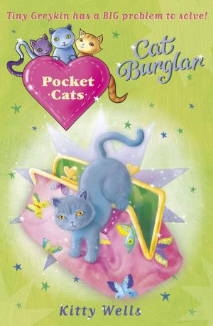 Cover of the book Pocket Cats: Cat Burglar by Robert Swindells