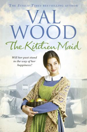Cover of the book The Kitchen Maid by Susan Sallis