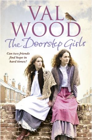 Book cover of The Doorstep Girls