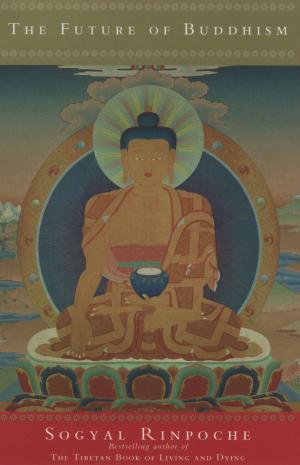 Cover of the book The Future Of Buddhism by Patrick Barclay