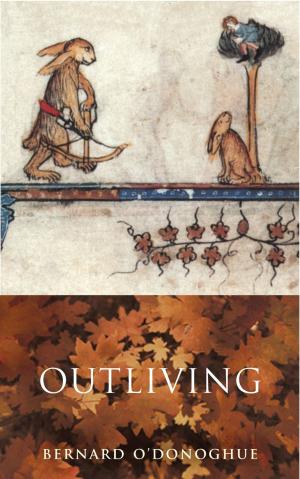 Cover of the book Outliving by Erin E. Edgington