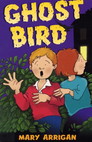 Cover of the book Ghost Bird by Liz Rettig