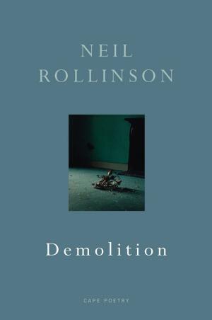 Cover of the book Demolition by Kevin Brooks