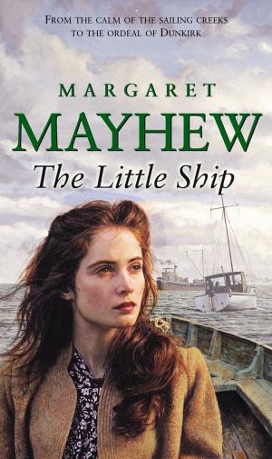 Cover of the book The Little Ship by Andrew Eames