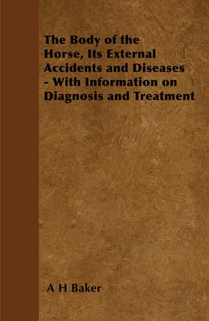 Book cover of The Body of the Horse, Its External Accidents and Diseases - With Information on Diagnosis and Treatment