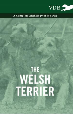 Cover of the book The Welsh Terrier - A Complete Anthology of the Dog by George Corfe
