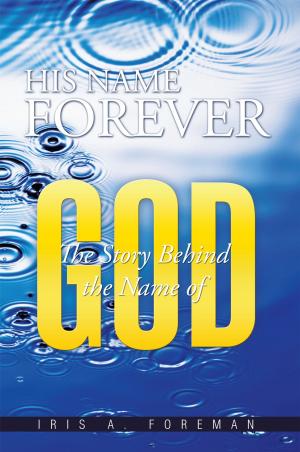 Cover of the book His Name Forever by Mary Heyn