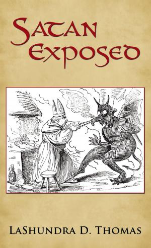 Cover of the book Satan Exposed by Jonathan Owhe