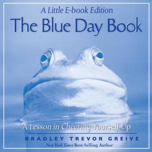 Book cover of The Blue Day Book: A Little E-Book Edition A Lesson in Cheering Yourself Up