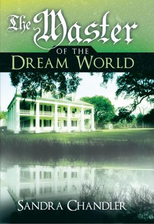 Cover of the book The Master of the Dream World by B.V. Bayly
