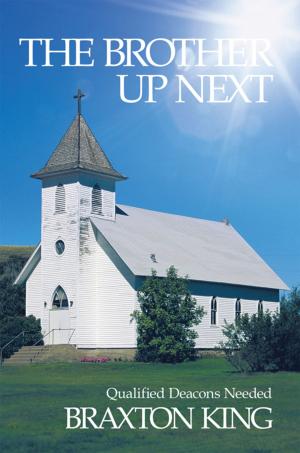 Cover of the book The Brother up Next by Nancy Ruth