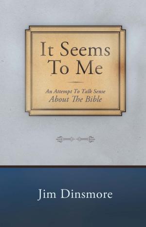 Cover of the book It Seems to Me by Paula M. S. Paquette MTS MPA