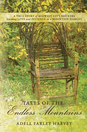 Cover of the book Tales of the Endless Mountains by Valerie Bower