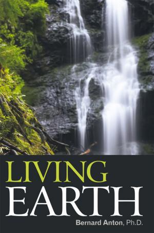 bigCover of the book Living Earth by 