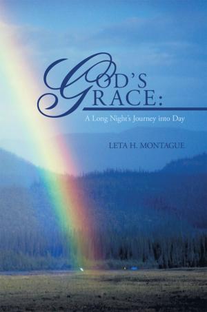 Cover of the book God’S Grace: a Long Night’S Journey into Day by Louise Studstill