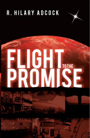 Cover of the book Flight to the Promise by Melinda Doljac