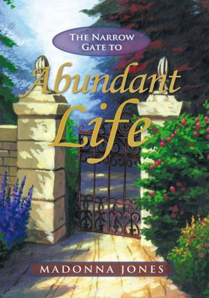 Cover of the book The Narrow Gate to Abundant Life by Tim Morgan