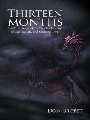 Cover of the book Thirteen Months by Chester Herzberger
