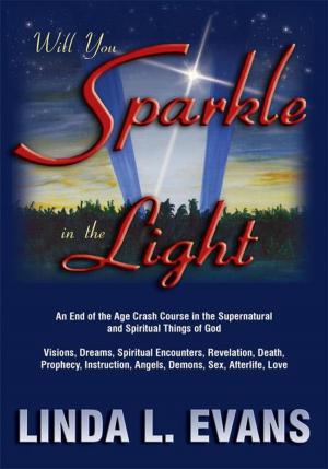 Cover of the book Will You Sparkle in the Light by Daniel O’Neil