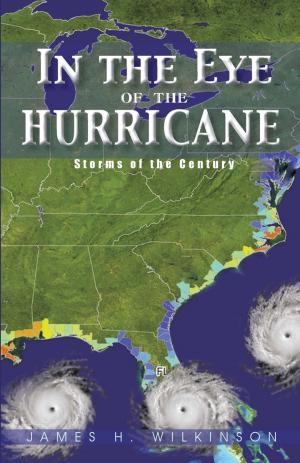 Book cover of In the Eye of the Hurricane