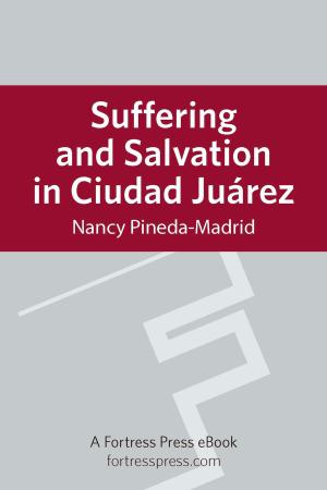 Cover of the book Suffering and Salvation in Cuidad Juarez by Paula Gooder