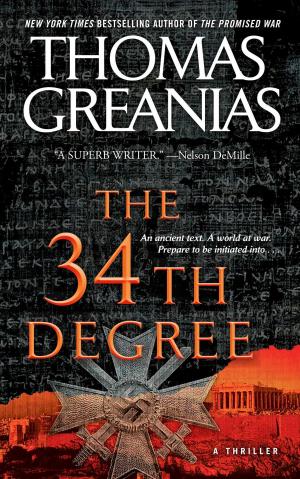 bigCover of the book The 34th Degree by 