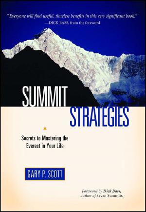 Cover of the book Summit Strategies by M. J. Rose