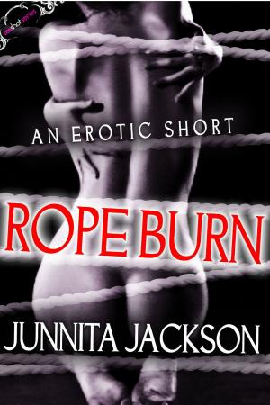 Cover of the book Rope Burn by N Kuhn