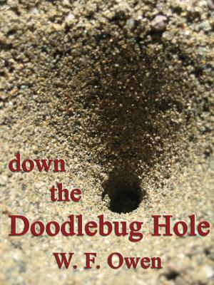 Cover of the book Down the Doodlebug Hole by Charlene Phillips