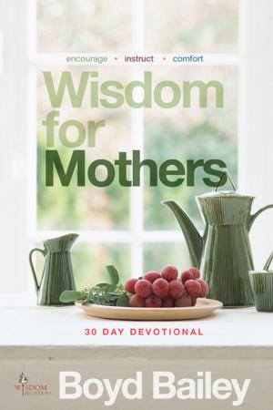 Book cover of Wisdom for Mothers