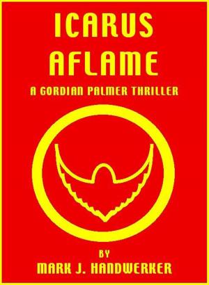 Book cover of Icarus Aflame