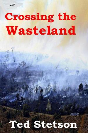 Cover of the book Crossing the Wasteland by Ted Stetson