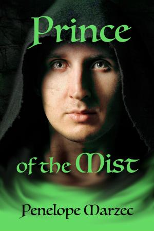 Cover of the book Prince of the Mist by J.A. Laughlin