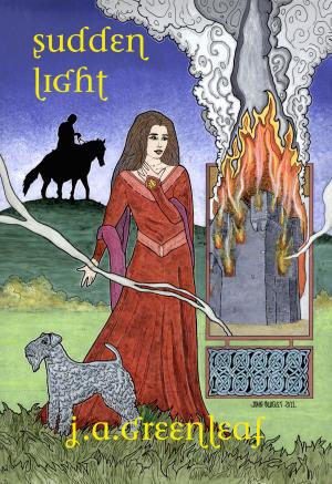Cover of the book Sudden Light by David N. Walker