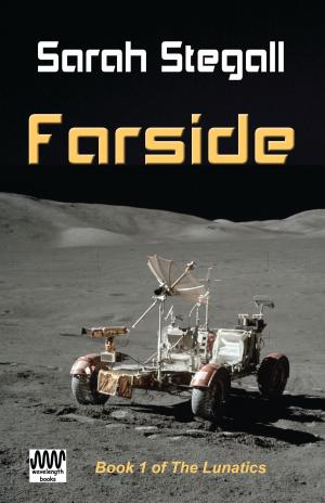 Cover of the book Farside by 吾名翼