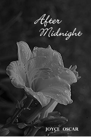 Cover of the book After Midnight:Love's Journey by M.K. Christiansen