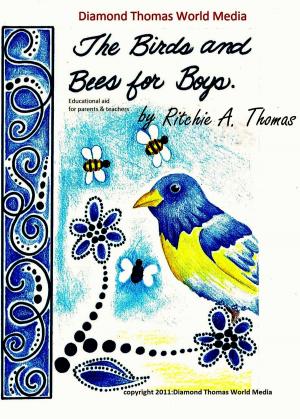 Book cover of The Birds And Bees For Boys