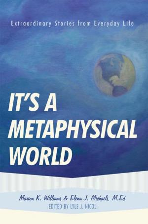 Cover of the book It's a Metaphysical World by Michael A. Jawer
