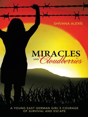 Cover of the book Miracles and Cloudberries by Rebecca Tripp, Bryna René