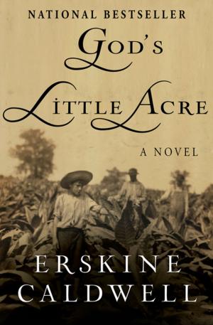 Cover of the book God's Little Acre by Don Pendleton
