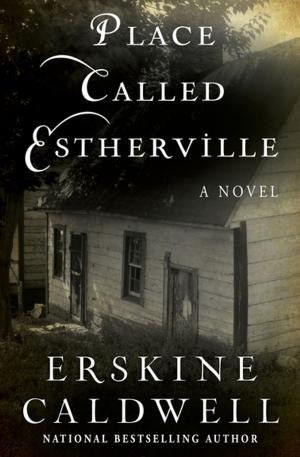 bigCover of the book Place Called Estherville by 
