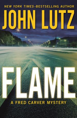 Cover of the book Flame by Hammond Innes