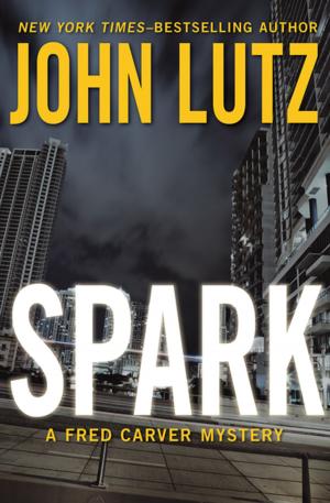 Cover of the book Spark by Padgett Powell