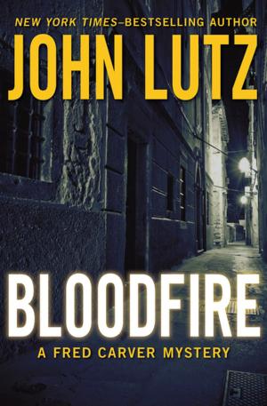 Book cover of Bloodfire