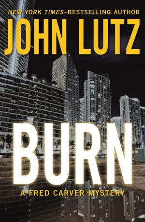 Cover of the book Burn by Michelle Arbeau