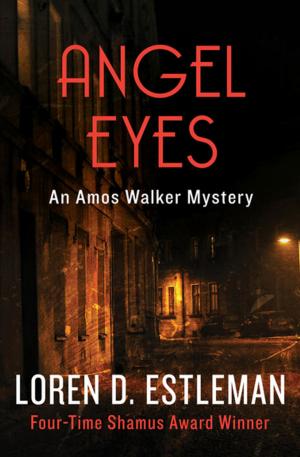Cover of the book Angel Eyes by Zilpha Keatley Snyder